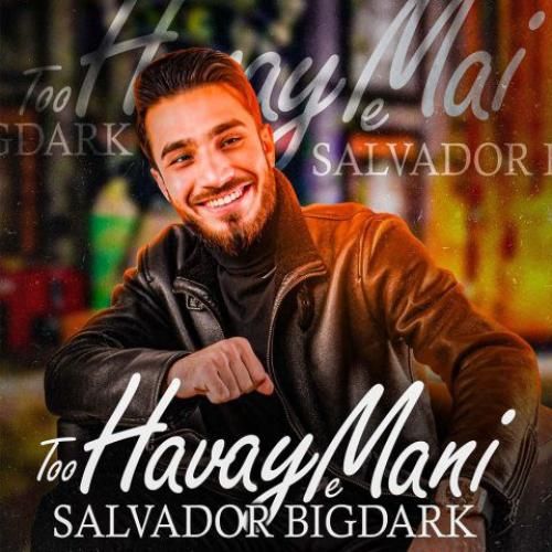 دانلود آهنگ تو هوای منی سالوادور بیگ دارک