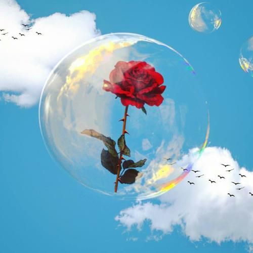 دانلود آهنگ دیگه نوری نیست تو این شبام ستاره نی برام