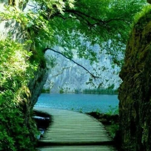 دانلود آهنگ صد دادم به اونی که سر یه ریال گیره 