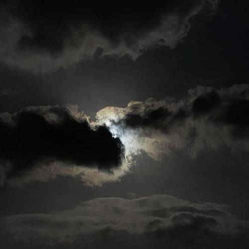 دانلود آهنگ من دلم نمیخواست ولی از پس همه چی تنهایی 