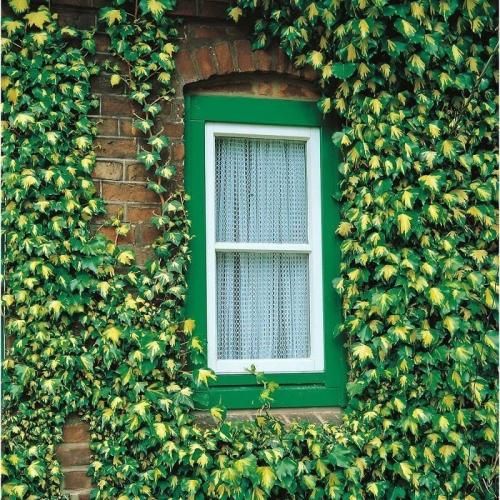 دانلود آهنگ دیگه ندارم حرارت الان موندیم فقط منو یه کبد 