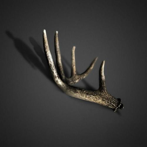 دانلود آهنگ شیب زمان علی سورنا