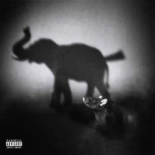 دانلود آهنگ رت چرسی