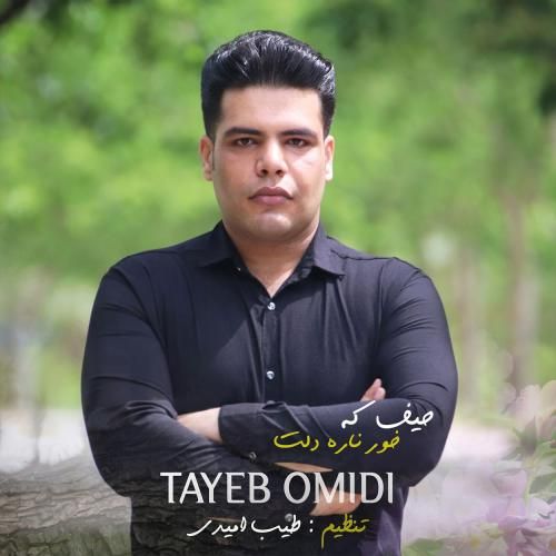 دانلود آهنگ حیف که خور ناره دلت طیب امیدی