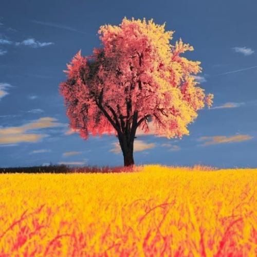 دانلود آهنگ اگه یه درصدم شد دلت تنگ باز 