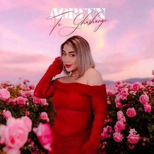 دانلود آهنگ تو قشنگی آگرین