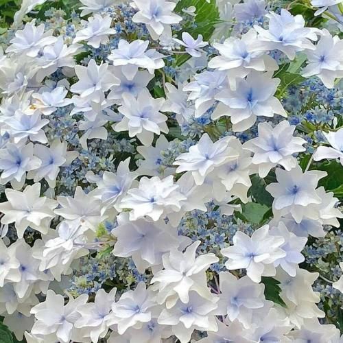 دانلود آهنگ کی صدا کرد منو بیتا