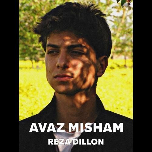 دانلود آهنگ عوض میشم رضا دیلون