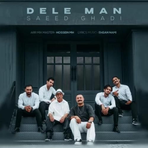 دانلود آهنگ دل من سعید قادی