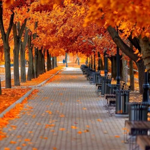 دانلود آهنگ تهرونم همین حوالی دنبال نون حلالیم