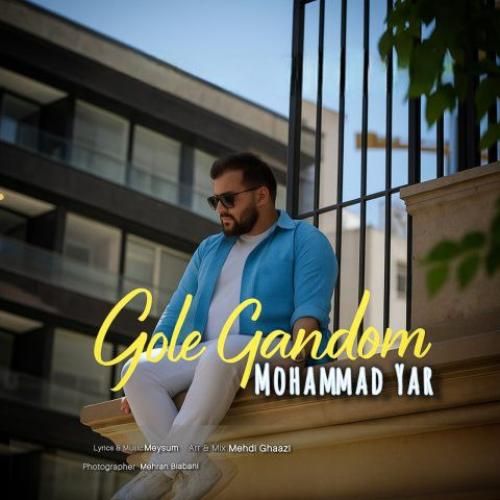 دانلود آهنگ گل گندم محمد یار
