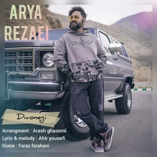 دانلود آهنگ دیوونگی آریا رضایی