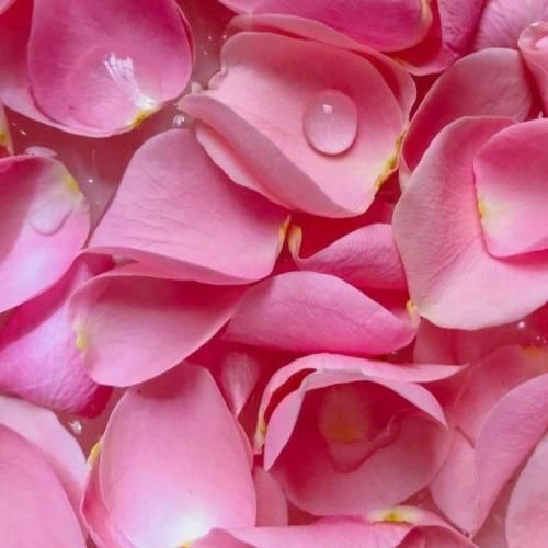 دانلود آهنگ گمونم نمونم بی تو من زیاد 