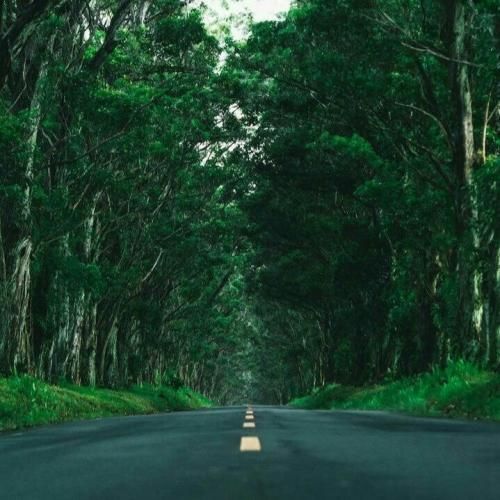 دانلود آهنگ اوناشم شری ام