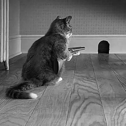 دانلود آهنگ تقصیر من مشرقی و متین فتاحی