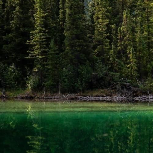 دانلود آهنگ کافه های اطراف خونت پاتوقم شده عزیز جونم