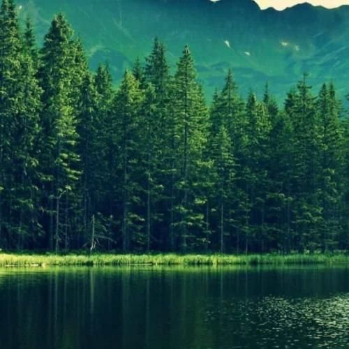 دانلود آهنگ به من چه دنیا