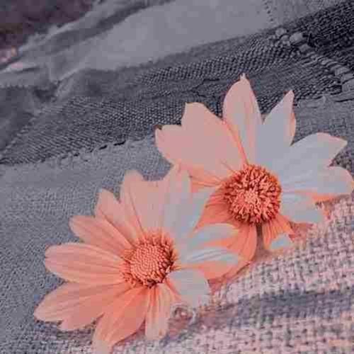 دانلود آهنگ بازم خیابونو منو دوتا دست تو جیب 