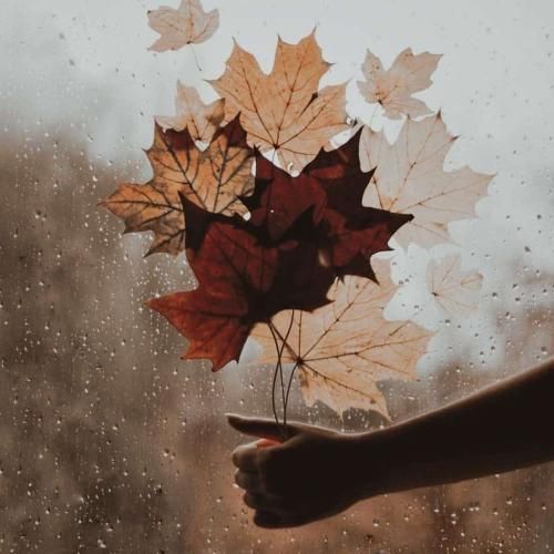 دانلود آهنگ نه بی وجدانم نه اهل غرغر