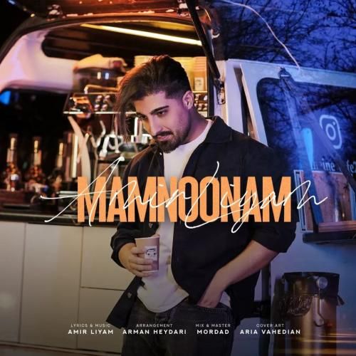 دانلود آهنگ ممنونم امیر لیام