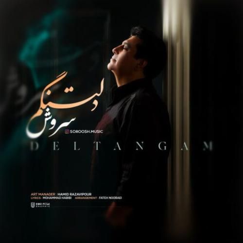 دانلود آهنگ دلتنگم سروش