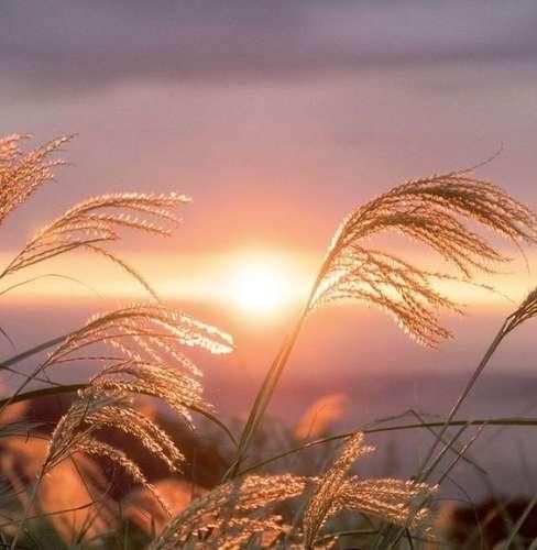 دانلود آهنگ تهش قلبم شکست مگه یارو از ذهنم میرفت 