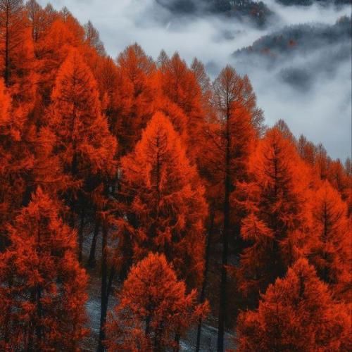 دانلود آهنگ اگه بیای به خوابم سر میزارم رو شونت هوش مصنوعی