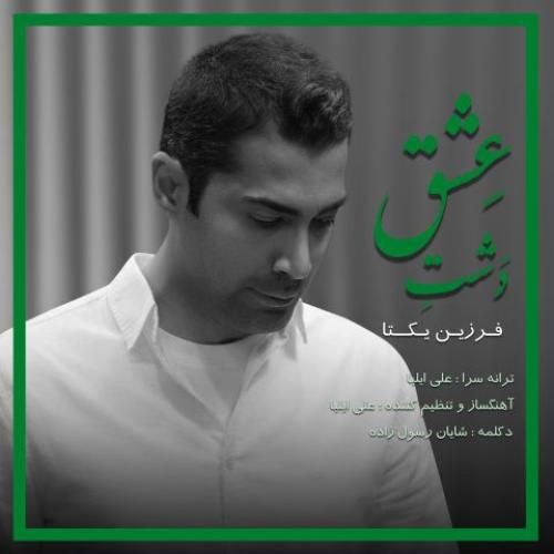 دانلود آهنگ دشت عشق فرزین یکتا