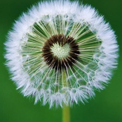 دانلود آهنگ اصلیه تویی که میدونم سلیقتو میدونی تایپمو