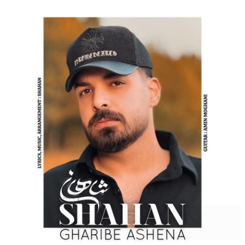 دانلود آهنگ غریب آشنا شاهان