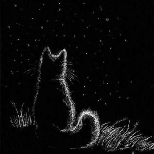 دانلود آهنگ حمومی مهراد هیدن و نوا