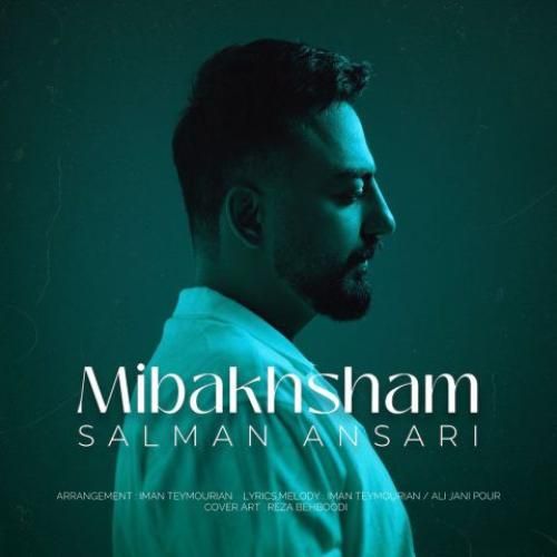 دانلود آهنگ میبخشم سلمان انصاری