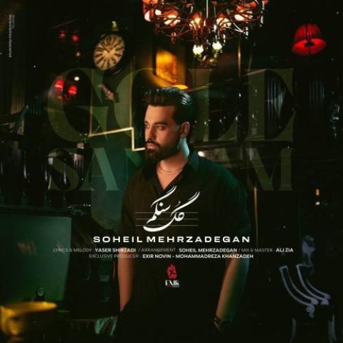 دانلود آهنگ گل سنگم سهیل مهرزادگان
