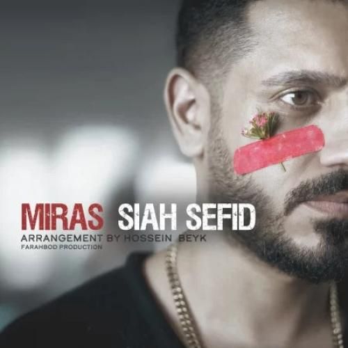دانلود آهنگ سیاه سفید میراث