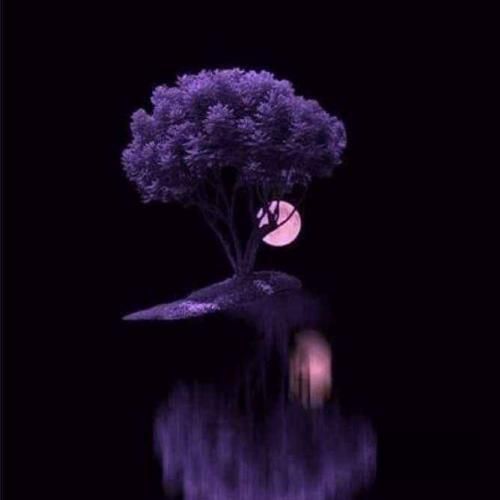 دانلود آهنگ واویلا لیلی دوست دارم خیلی 