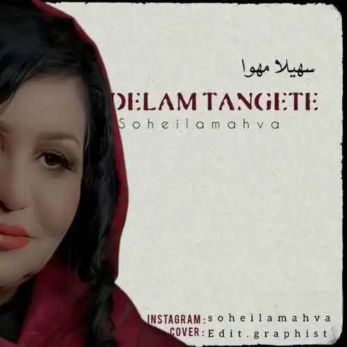 دانلود آهنگ دلم تنگته سهیلا مهوا
