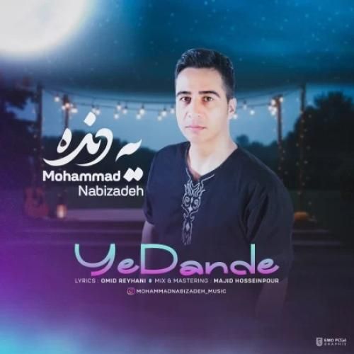 دانلود آهنگ یه دنده محمد نبی زاده