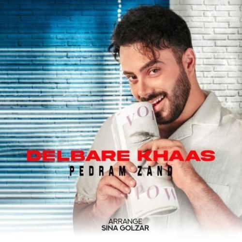 دانلود آهنگ دلبر خاص پدرام زند