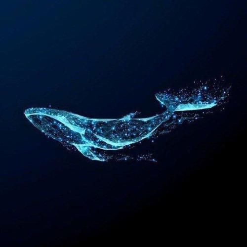 دانلود آهنگ حس نمیکنم دیگه توی قلبم درد حال کسی نمیکنه 