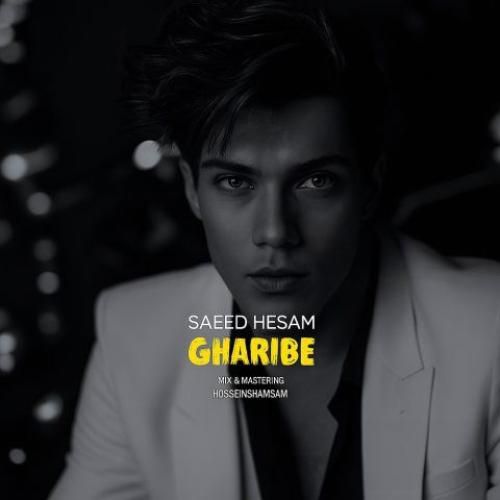 دانلود آهنگ غریبه سعید حسام