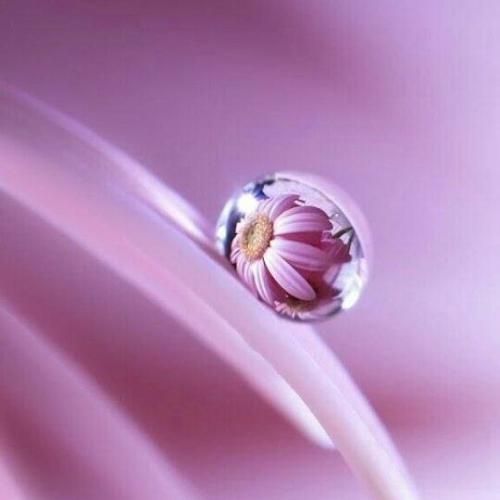 دانلود آهنگ من مرد ملو نمیخوام شل و اسلو نمیخوام 