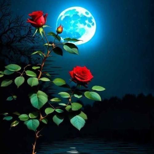 دانلود آهنگ از مبینا به داداشم مبینا داداش چطوری دانلود آهنگ از مبینا به داداشم مبینا داداش چطوری