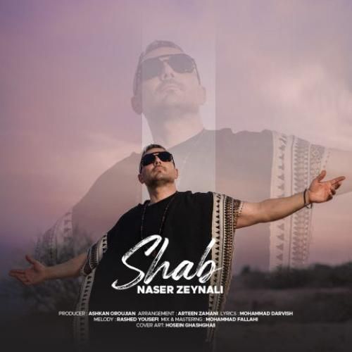 دانلود آهنگ شب ناصر زینلی