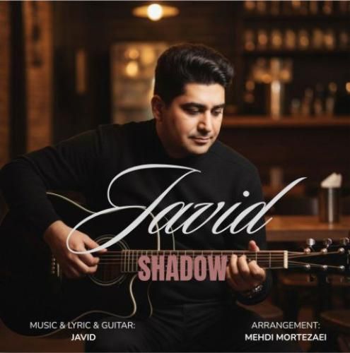 دانلود آهنگ سایه جاوید