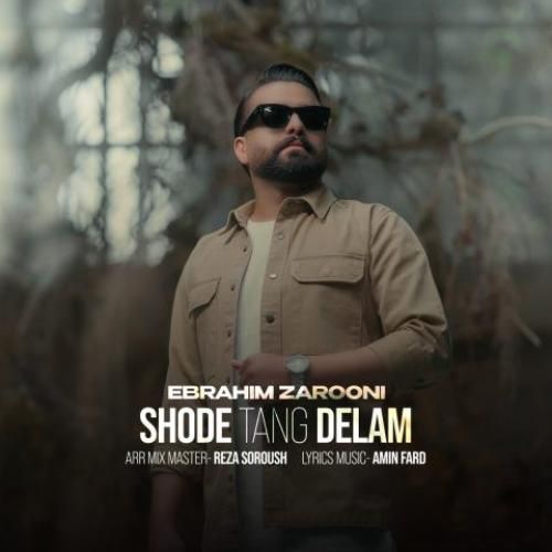 دانلود آهنگ شده تنگ دلم ابراهیم زرونی