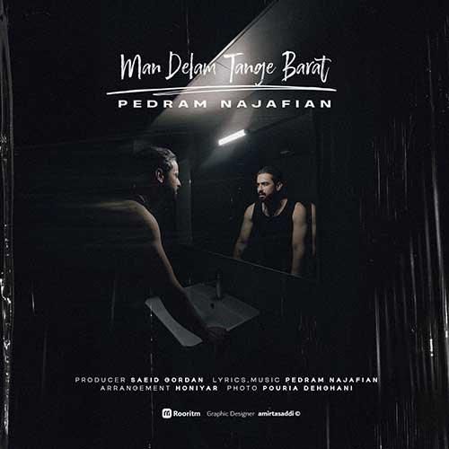 دانلود آهنگ من دلم تنگه برات پدرام نجفیان