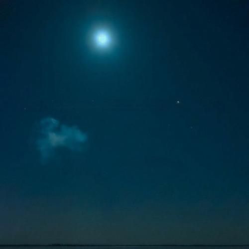 دانلود آهنگ دوتا بطری هاینیکن زدیم همه چیو ولی بازم 