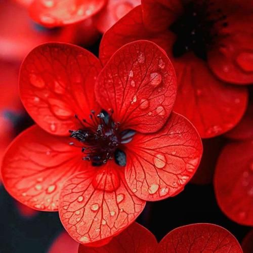 دانلود آهنگ بیا پیشم بمون تنها نمونم میخوام تا ابد واست بخونم