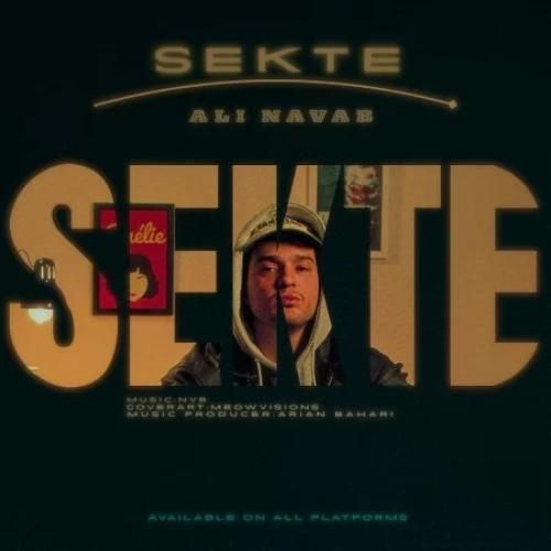 دانلود آهنگ سکته از علی نواب