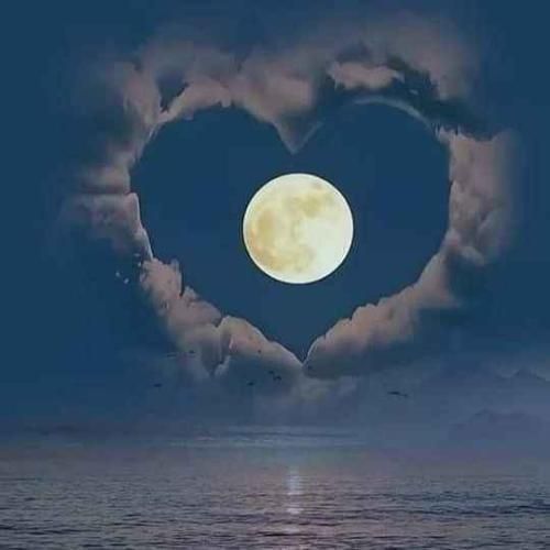 دانلود آهنگ کاش مال من بودی کاش بودیم دوتا ادم معمولی